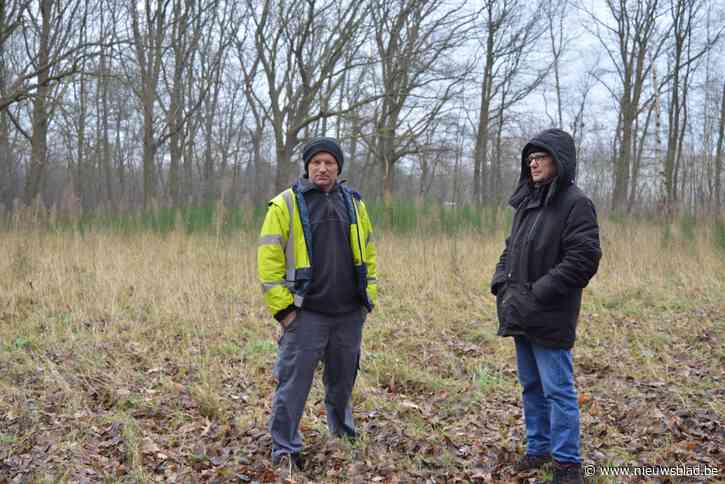 Oud voetbalveld blijkt plots waardevolle natuur: boete van duizenden euro’s voor ‘scheuren van struisgras’