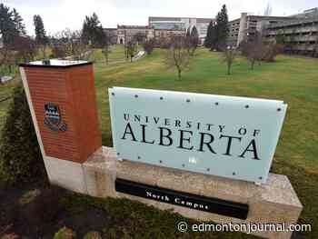 'It's kind of a life-or-death situation for small businesses': U of A students providing free digital support for local businesses