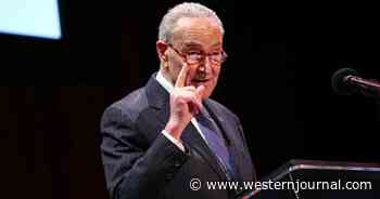 Nuclear Option: Democrats Consider Plan B That Would End American Elections as We Know Them