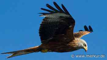 Nach Vorstoß von Klimaschutzminister Habeck: Kommt im Landkreis Dachau frischer Wind in den Windradbau? - Merkur Online