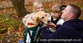 Support dog Merlin has 'brought magic' into lives of lottery winners - Grimsby Live