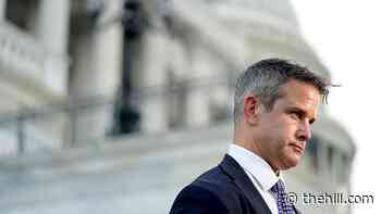 Kinzinger welcomes baby boy