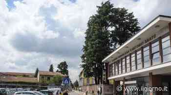 Dalla malattia al ritorno alla vita: "Salvata dall'ospedale di Gallarate" - IL GIORNO