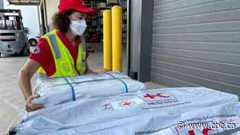 People in Tonga finally able to reconnect with the outside world as some phone lines restored