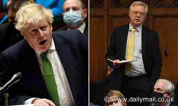 David Davis warns Tories can expect 'year of agony' if party doesn't swiftly oust Boris Johnson