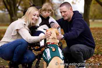 Support dog Merlin has 'brought magic' into lives of lottery winners - Ealing Times
