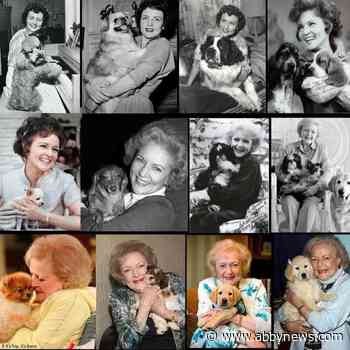 Love for Betty White tallies nearly $500,000 for animal welfare groups in B.C.