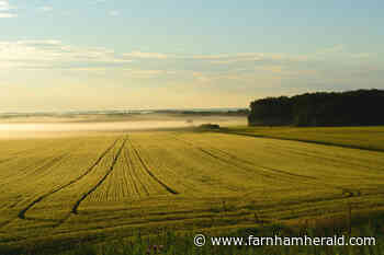 MP Damian Hinds: Space for nature to thrive once again on our farms - Farnham Herald