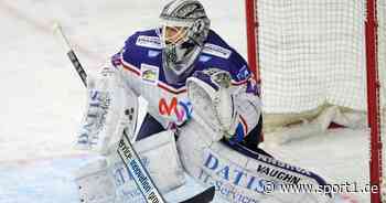 DEL: Mannheim stolpert in Straubing - SPORT1