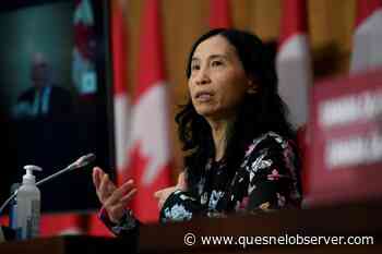 Latest research shows Omicron infectious up to 10 days: Tam - Quesnel Cariboo Observer