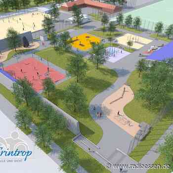 Neuer Bürger- und Sportpark in Essen: So soll er aussehen - Radio Essen