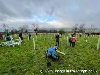 Rossendale and Pendle councils kick-start climate change mission with mass tree planting effort