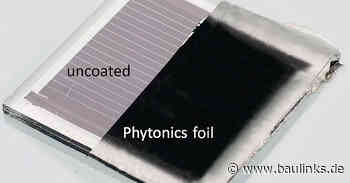 Bionische Anti-Glare-Beschichtung für Solarmodule