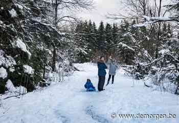 Tien centimeter sneeuw mogelijk in Ardennen, ook winterse neerslag in Vlaanderen