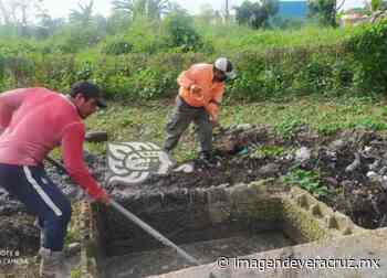 Dan mantenimiento al rastro de Cosoleacaque tras 6 meses inactivo - Imagen de Veracruz