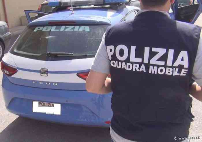 Droga: operazione della Polizia a Crotone, 11 arresti - Agenzia ANSA