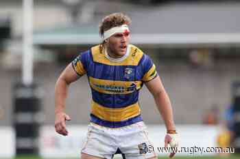 Scott-Young taking learnings out of 'incredible' NZ experience into Pacific campaign | Latest Rugby News | RUGBY.com.au - Rugby.com.au