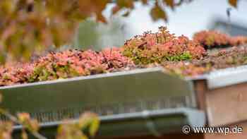 Siegen-Wittgenstein: Noch Fördergeld für Dachbegrünung da - Westfalenpost