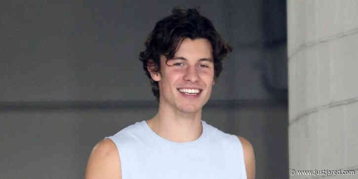 Shawn Mendes Drops Teaser For Upcoming Music: 'Y'all Dig This?'