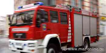 Luckenwalde: Zwei Mülltonnen stehen in Flammen - maz-online.de