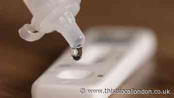 Lateral flow tests could cost £30 with free Covid tests in UK to 'end in June'