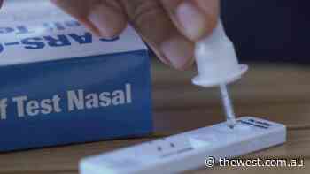 Geraldton pharmacies hopeful rapid antigen tests will arrive before border reopening - The West Australian