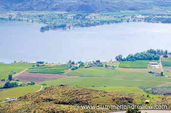 Osoyoos grants funding for 4 festivals – Summerland Review - Summerland Review