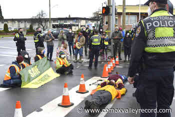 Five old-growth logging protesters arrested at Greater Victoria intersection – Comox Valley Record - Comox Valley Record