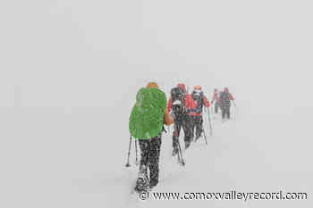 Snowshoers need saving after suffocating amount of snow in Strathcona Park – Comox Valley Record - Comox Valley Record