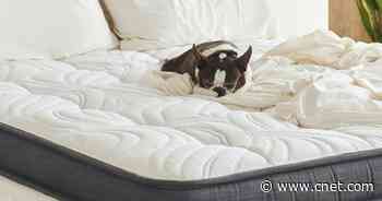 The best gel mattresses for 2022     - CNET