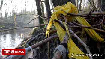 Sewage regularly dumped illegally in England and Wales rivers