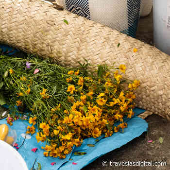 Recorrimos el Mercado de Abastos de Oaxaca con Jorge Leon, el chef de Alfonsina - Travesías
