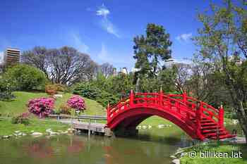 El Jardín Japonés de Buenos Aires, el más grande fuera de Japón - Billiken