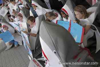 B.C. company fined $75,000 for importing fins of protected sharks - Nelson Star