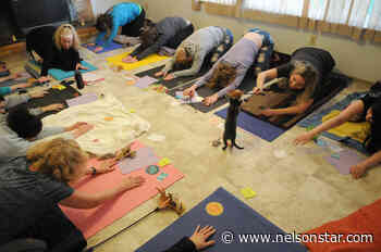 BC reopening gyms, fitness on Thursday with COVID-19 precautions – Nelson Star - Nelson Star