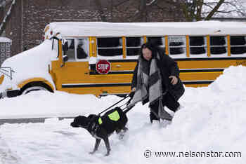 Winter storm causing school closures, transportation disruptions in parts of Ontario - Nelson Star