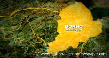 CSO condemns rape, murder of 14 year-old female IDP in Borno - National Accord