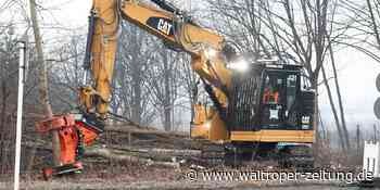 Startschuss für massive Baumfällungen an der Carl-Duisberg-Straße - Waltroper Zeitung