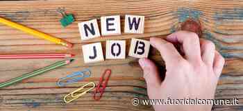 Pioltello: 60mila euro alle aziende per l'assunzione di cittadini disoccupati e inoccupati - Fuoridalcomune.it