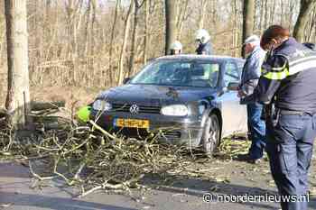 Auto beschadigd door vallende tak uit boom in Drachtstercompagnie - Noordernieuws