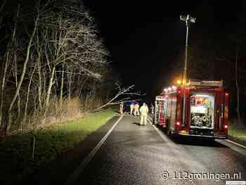 Stormschade: Boom raakt op de weg(N46) bij Startenhuizen | 112Groningen, Actueel nieuws over de hulpverleningsdiensten uit Groningen - 112 Groningen