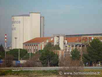 Zuccherificio: da una procedura all'altra, chiuso il fallimento della ex Newco - Termoli Online