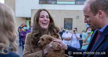 Kate Middleton jokes her dog will be upset after she enjoys cuddle with therapy pup