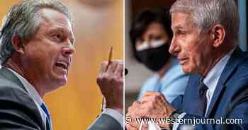 GOP Senator Turns the Tables on Fauci, Releases Hilarious 'Moron' T-Shirt That Doc Will Hate