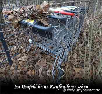 Weit und breit keie Kaufhalle zu sehen ! - Lutherstadt Wittenberg - myheimat.de