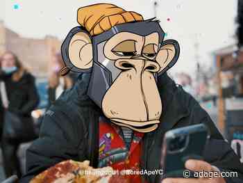 Twitter debuts NFT profile pictures with a sizzling video