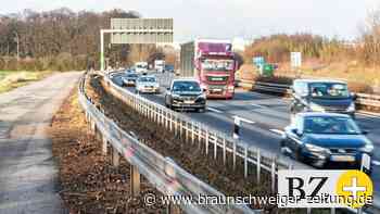 Ist die A39 bei Wolfsburg gut genug gegen Wildunfälle geschützt?