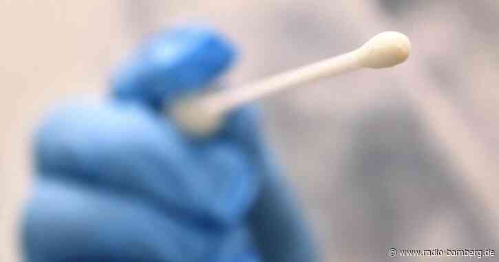 Sieben neue Corona-Fälle bei den Tigers: Spiel abgesagt