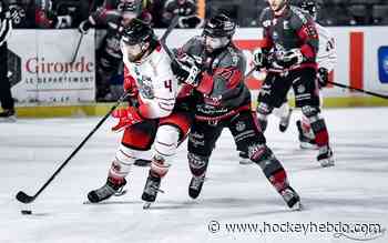 Hockey sur glace : Ligue Magnus - Ligue Magnus : 32ème journée : Bordeaux vs Nice - Les Boxers renouent avec la victoire à la maison ! - hockeyhebdo Toute l'actualité du hockey sur glace