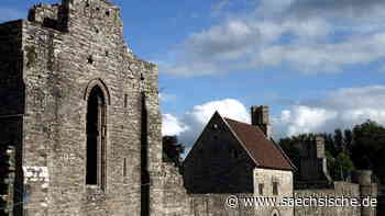 Was der Brexit mit einer Riesaer Schule zu tun hat - Sächsische.de